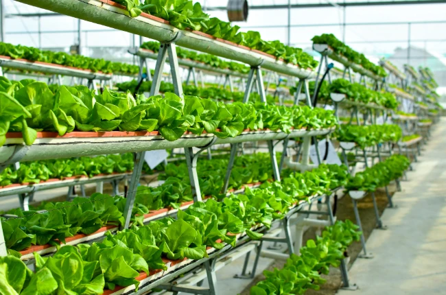 7 innovations help agricultural image02